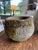 Vintage French stone and concrete planters, often referred to as concrete foundry pots. These stone planters feature...
