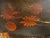 Antique Japanese Maki-E Lacquer Tray: Koi Fish and Floral Design For Sale - Image 6 of 9