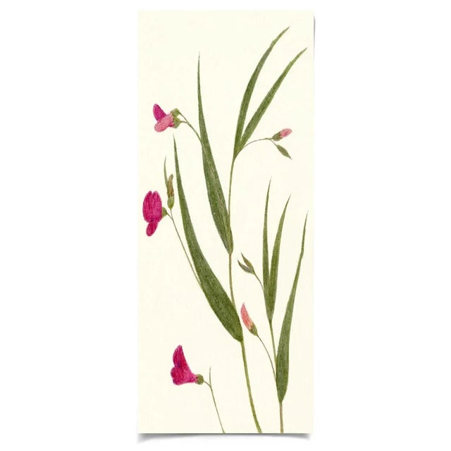 Contemporary Hubbard Flower 1202 Artwork, Unframed Artwork For Sale - Image 3 of 3