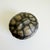 Lidded Porcelain Tortoise Shell Catchall by l'Objet For Sale - Image 14 of 15