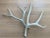 Vintage Natural Deer Antler - a Pair For Sale - Image 12 of 13