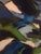 2020s 2022 Contemporary Abstract Expressionist Oil Painting by Jesus Galvan For Sale - Image 5 of 8