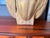 1970s Large Brass Sea Shell Planter For Sale - Image 11 of 12