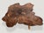 Andrianna Shamaris Amorphous Rosewood Coffee Table For Sale - Image 17 of 18