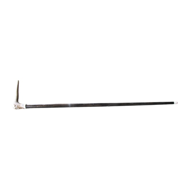 Ivory Carved Deer Antler Grim Reaper Face Hidden Blade Folk Art Walking Stick Cane For Sale - Image 8 of 12