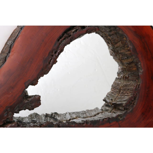Cypress Tree Biomorphic Form Wall Mirror For Sale In West Palm - Image 6 of 10