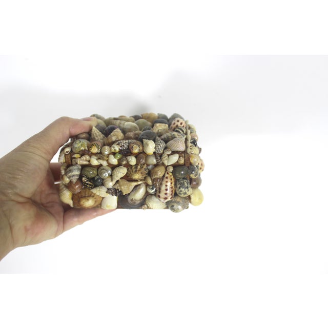 1970s Vintage Snail Shell Encrusted Box For Sale - Image 5 of 11