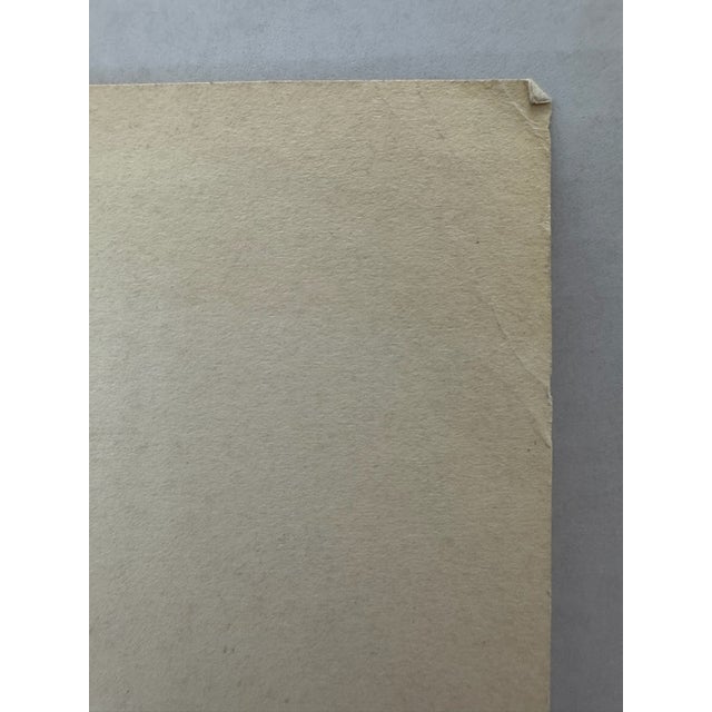 1940s Original Signed Graphite Illustration of Girl Walking Scottie Dog and Frog, 11 × 8 In. For Sale - Image 4 of 6