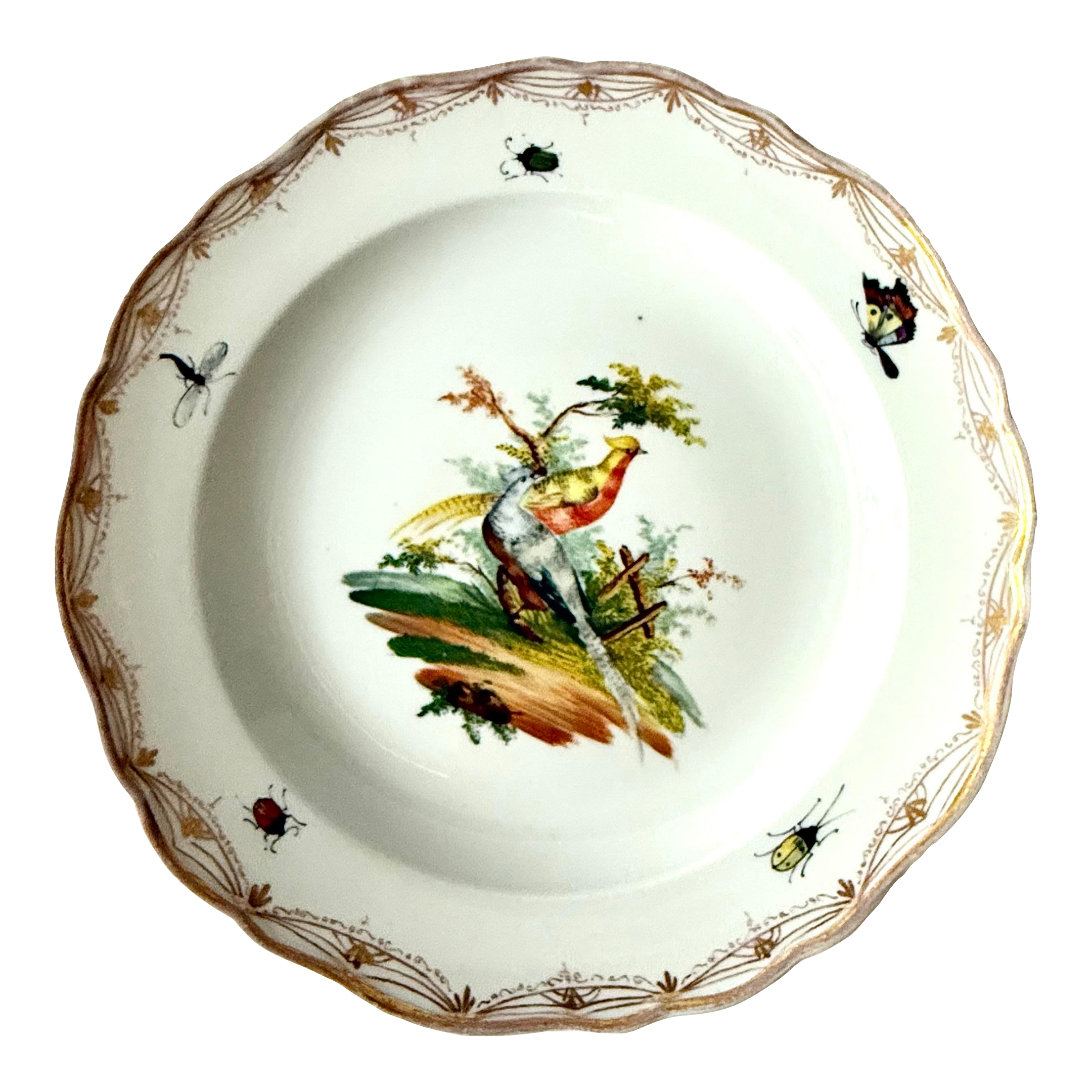 19th Century Meissen Porcelain Plate With Birds and Insects | Chairish