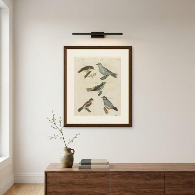 Bertuch, Tanagers and Java Sparrow Songbirds, 1805, Print For Sale - Image 10 of 12