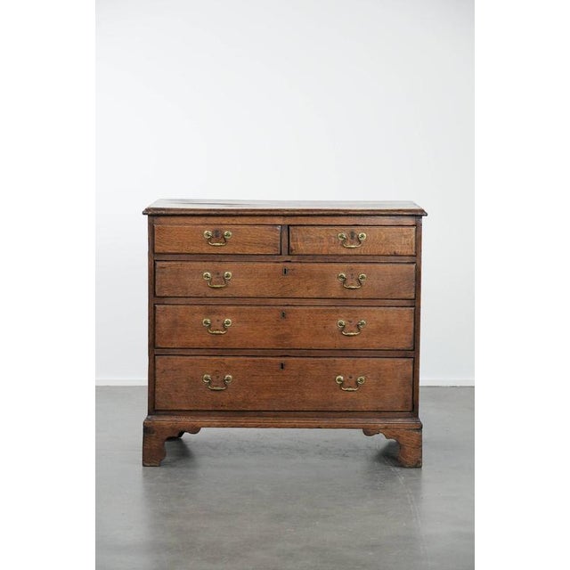 Subtly charming, antique English oak chest of drawers from the 18th century with beautiful character. : This subtly...