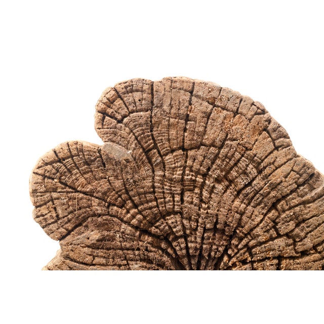 Contemporary Weathered Teak Display Plinth or Table Base For Sale - Image 3 of 4