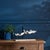 Bring the calming charm of the coast into your home with this Wooden Sea Bird Sculpture. Crafted from natural wood with a...