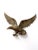 Mid 20th Century Vintage Brass Eagle Wall Hanging For Sale - Image 5 of 11