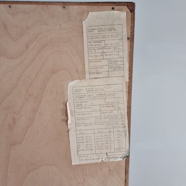 1970s Vintage Wardrobe in Ash by Francisek Mezulanik, 1970s For Sale - Image 5 of 12