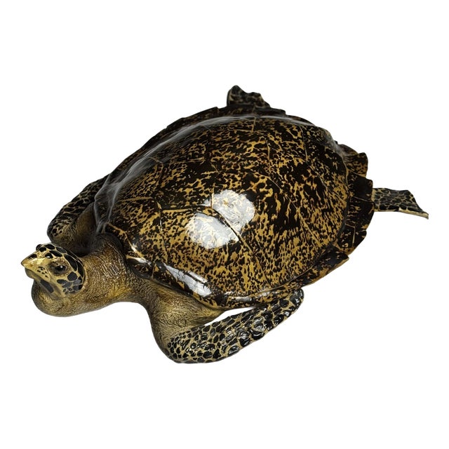 Realistic Plastic Turtle For Sale