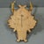 1930s Antique Black Forest Red Deer Trophy on Carved Plaque, Germany 1936 For Sale - Image 5 of 5
