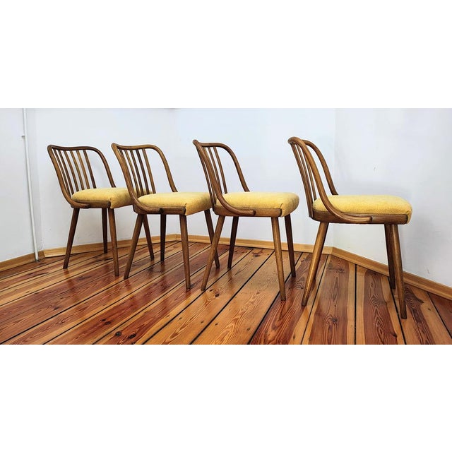 Wood Dining Chairs attributed to A. Suman for Tatra Nabytok, Czechoslovakia, 1960s, Set of 4 For Sale - Image 7 of 18