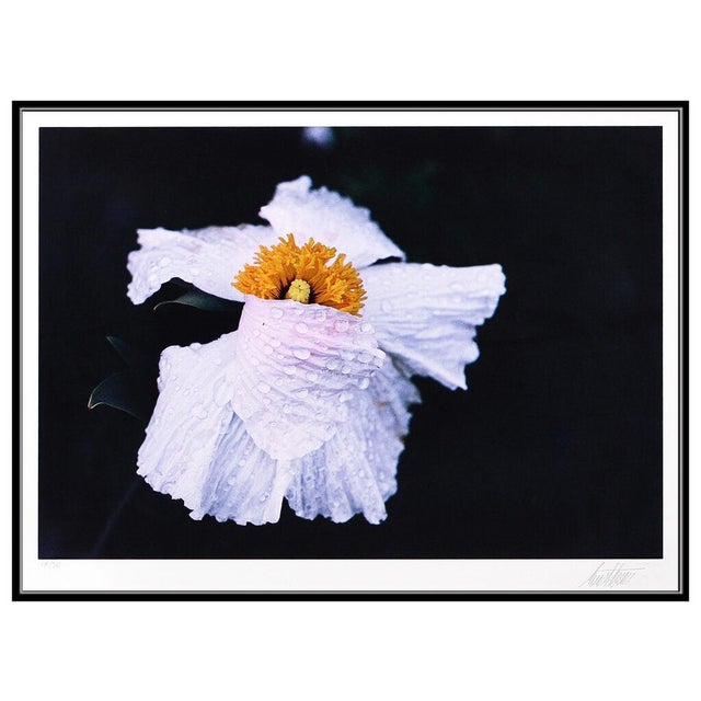 Message us to inquire about custom framing options! (Included for free with every purchase) The artwork here, "Cosmos...