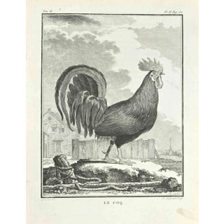 Louis Legrand, Le Coq, Etching, 1771 For Sale