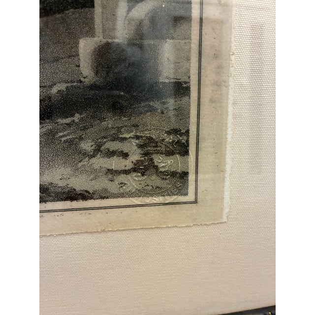 Early 21st Century Natural Curiosities “Date Tree” Tropical Botanical Landscape Framed Print For Sale - Image 5 of 6