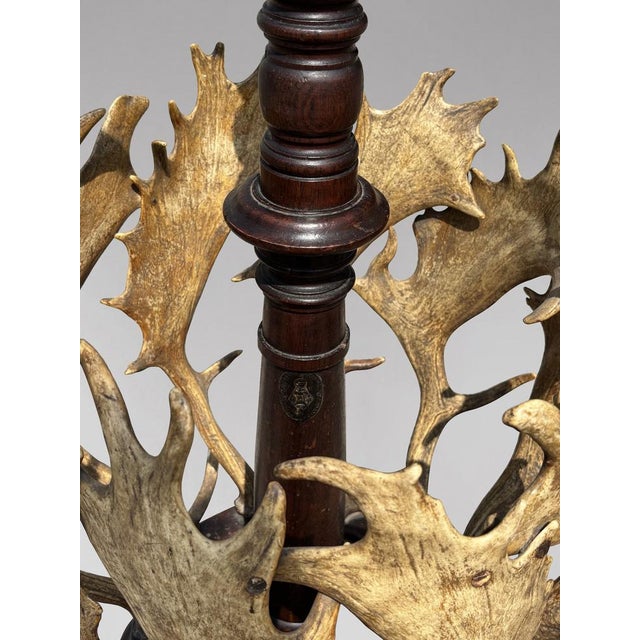 Antique Antler Coat Stand by J. Parker of Woodstock, 1850 For Sale - Image 6 of 12