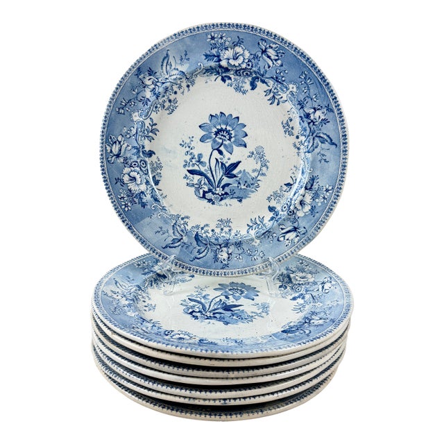Elkin & Newbon English Botanical Beauties Dinner Plates, Set of Eight For Sale