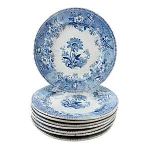 Elkin & Newbon English Botanical Beauties Dinner Plates, Set of Eight
