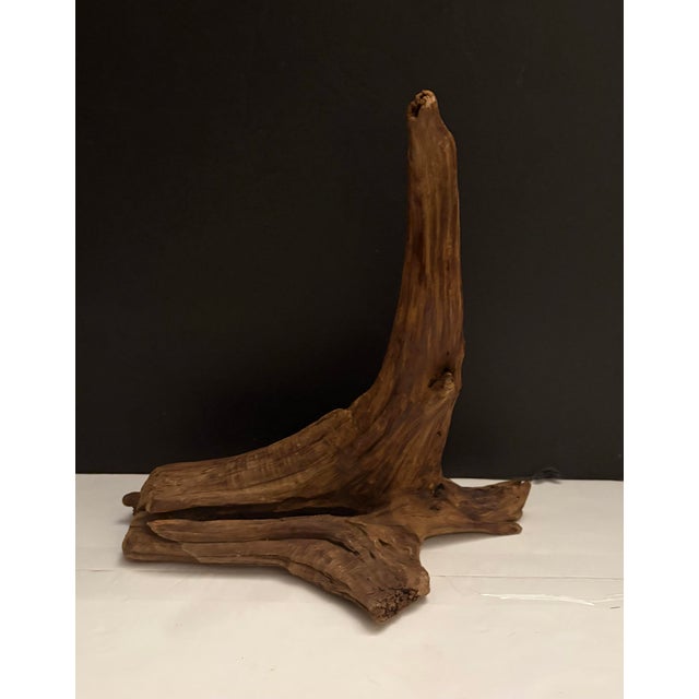 Late 20th Century Organic Root Wood Sculpture – Natural Driftwood Object – Organic Modern Decor For Sale - Image 5 of 10