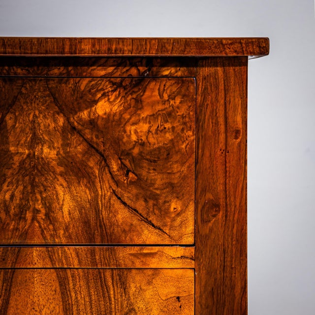 Wood Biedermeier Chest of Drawers in Walnut, Circa 1820 For Sale - Image 7 of 10