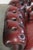 Animal Skin English Chesterfield Club Armchair For Sale - Image 7 of 14