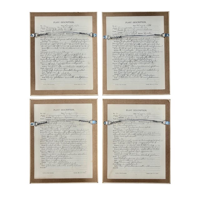 Set of 12 newly framed herbariums from 1893-1895. Framing is new Larson-Juhl solid oak from Italy, folios are mounted to...