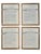 American Framed Herbarium Collection of Botanical Specimens From 1897, Set of 12 For Sale - Image 3 of 18