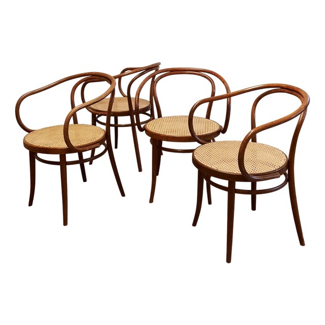 No. 209 Armchairs in Bentwood and Rattan from Ligna, 1970s, Set of 4 For Sale