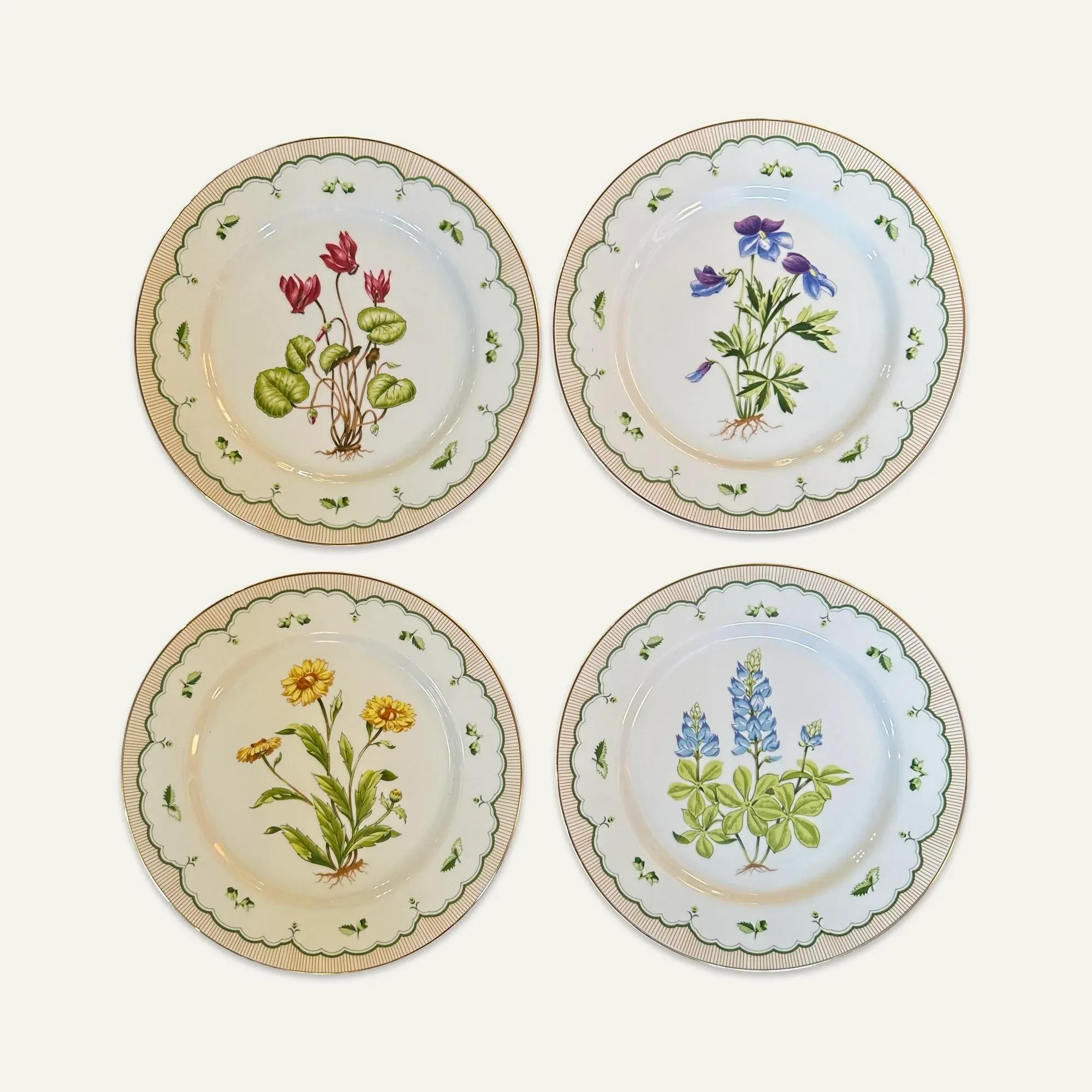 1960s Georges Briard Victorian Garden Dinner Plates, Salad Plates
