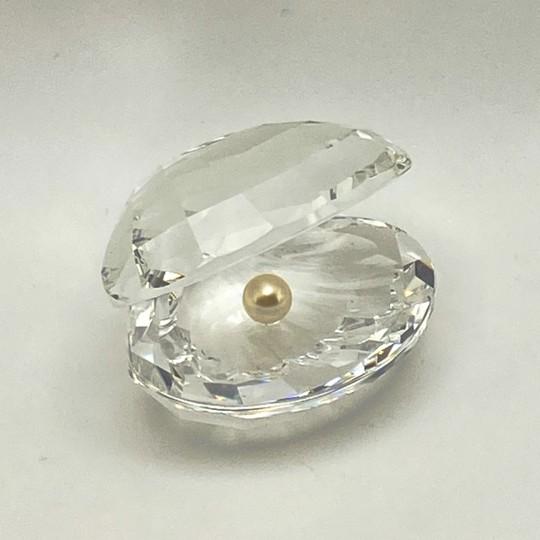 Transparent Swarovski Crystal Oyster Shell With Pearl Figurine (#014389 Original Box, Certificate of Authenticity) For Sale - Image 8 of 17