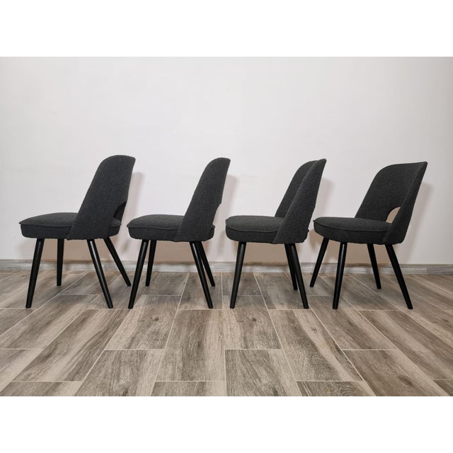 Oswald Haerdtl Dining Chairs by Oswald Haerdtl for Ton, 1950s, Set of 4 For Sale - Image 4 of 18