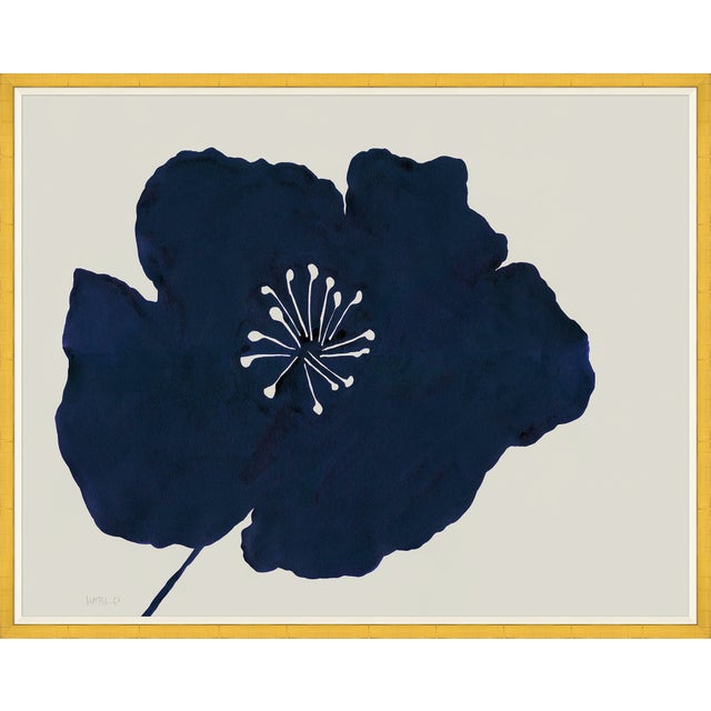 Susan Hable is a renowned artist and designer based in Athens, Georgia, known for her bold and colorful works. Co-founder...