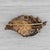 Antique Pearl Floral Leaf Brooch Pendant 14k Yellow Gold 1860s Pin For Sale - Image 4 of 6