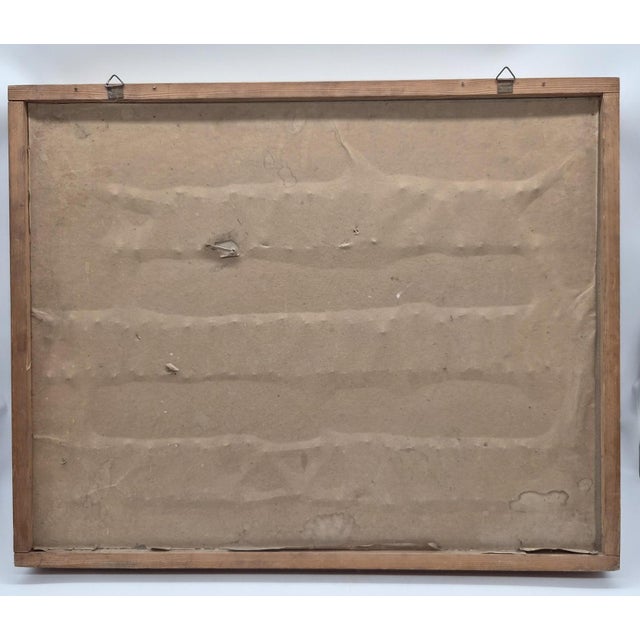 Vintage Polish Educational Display Case, 1970s For Sale - Image 9 of 10