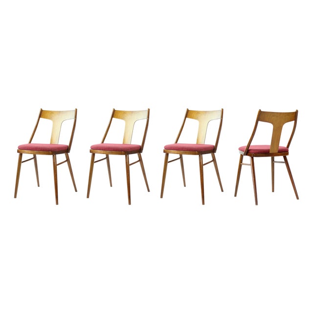 Dining Chairs in Wood and Pink from Tatra, 1960s, Set of 4 For Sale