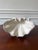 This rare pair of grotto style wall pockets is for anyone who appreciates marine inspired decor. This set is so versatile...
