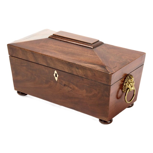 English Regency Sarcophagus-Form Tea Caddy For Sale