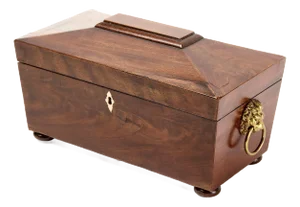 English Regency Sarcophagus-Form Tea Caddy