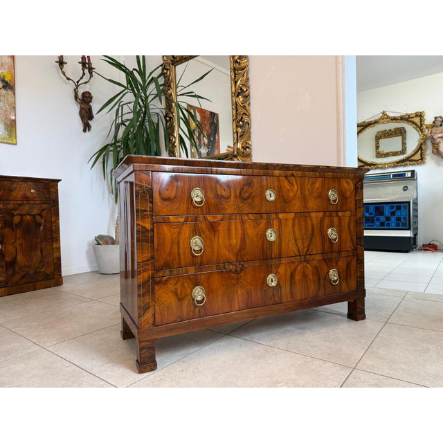 Biedermeier Chest of Drawers in Walnut For Sale - Image 3 of 14