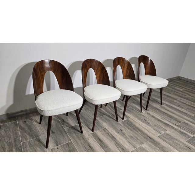 Dining Chairs by Antonin Suman, 1960s, Set of 4, in Restored conditions. Designed 1960 to 1969 I have official proof of...