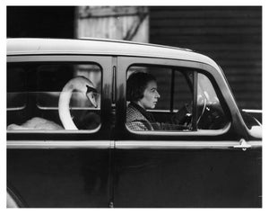 'Swan in a Car' Unframed Archival Pigment Print