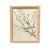 1893 Herbarium Botanical Specimens, Set of 12 For Sale - Image 15 of 18