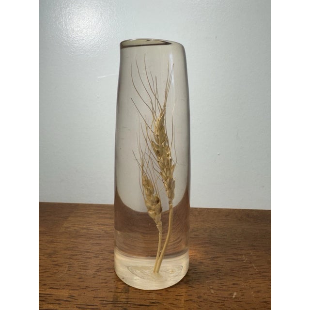 Vintage Daisyglas hand-crafted clear lucite/resin paperweight featuring real embedded wheat. Made in Campbell, California....