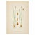 Mid-Century Modern Nordic Carex Studies, c.1902 | Antique Swedish Botanical Prints, Set of 3 For Sale - Image 3 of 5